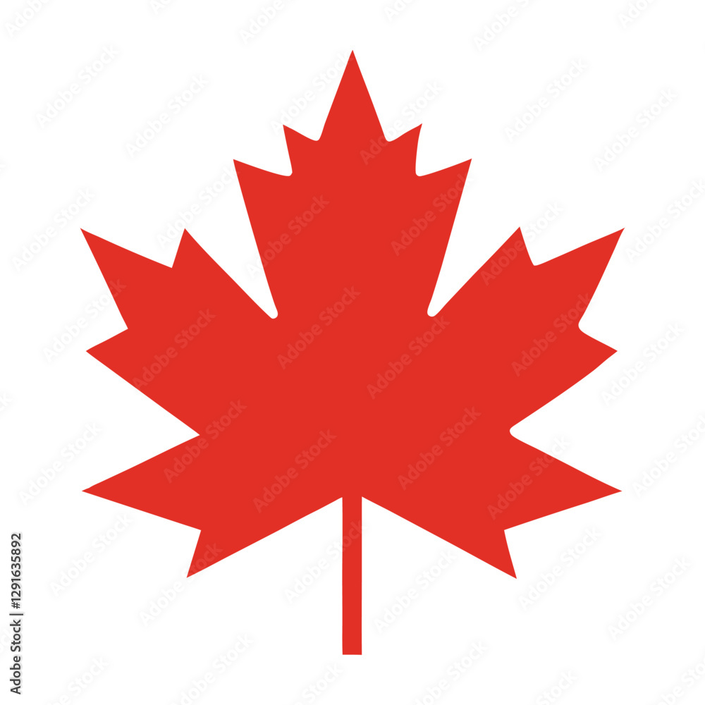 A vector illustration of Red Maple Leaves isolated on white background A vector illustration of Red Maple Leaves isolated on white background
