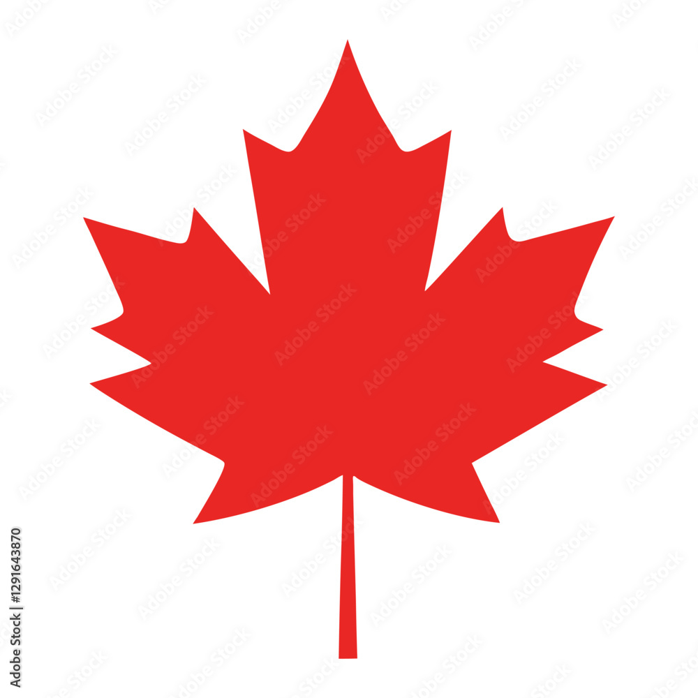 A vector illustration of Red Maple Leaves isolated on white background A vector illustration of Red Maple Leaves isolated on white background