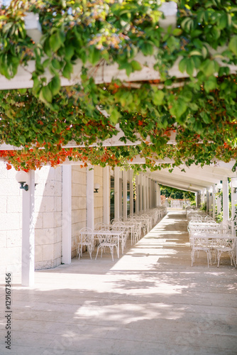 Картината върху платно White long pergola in a sunny park with tables and openwork chairs