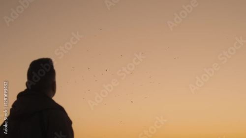 A man watches a flock of seagulls at sunset