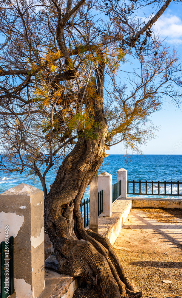 Landschaft und Küstengebiet im Norden Mallorcas, Cala Rajada, Balearen,. Spanien