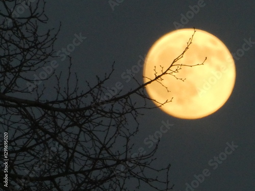 Full Moon Against Night Sky