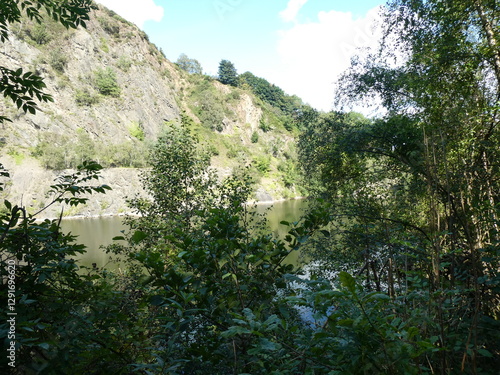 Serene Lake Surrounded by Trees