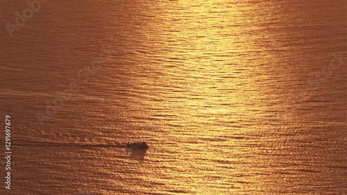Yacht in the water at dawn