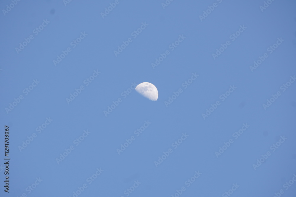 A luminous half-moon hangs in a vast, clear sky, casting a soft glow, serene and silent against the endless blue. A luminous half-moon hangs in a vast, clear sky, casting a soft glow, serene and silent against the endless blue.