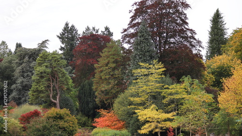 Autumn Forest Colors