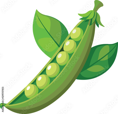 peas vegetable vector, vector and illustration, vector style