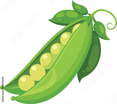 peas vegetable vector, vector and illustration, vector style
