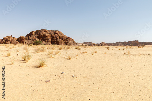 Landschaft in der Sahara