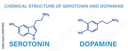 Chemical structure of serotonin and dopamine in blue color outline style isolated on white background.