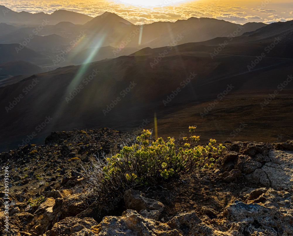 Φωτογραφία View Across Haleakala Crater at Sunrise, Haleakala National Park, Maui, Hawaii,