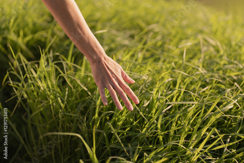 A hand softly touches lush green grass in a sun-drenched field, capturing a peaceful, natural moment. Ideal for themes of nature, tranquility, and connection to the earth.