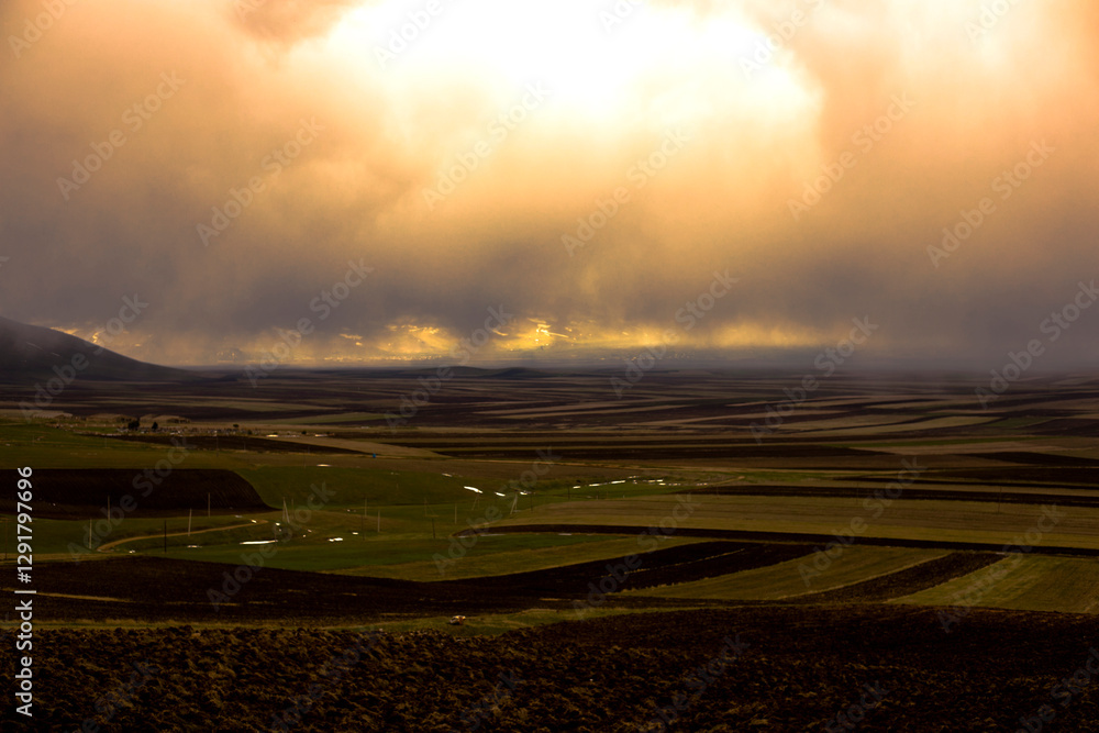 Fototapeta premium agricultural colorful and different fields under sky
