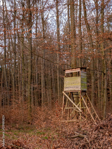 Hoch und Jägersitz im Feld