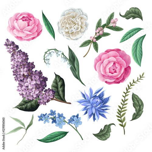 Camelia flowers, lilac, liley of valey and other flowers. Vector.