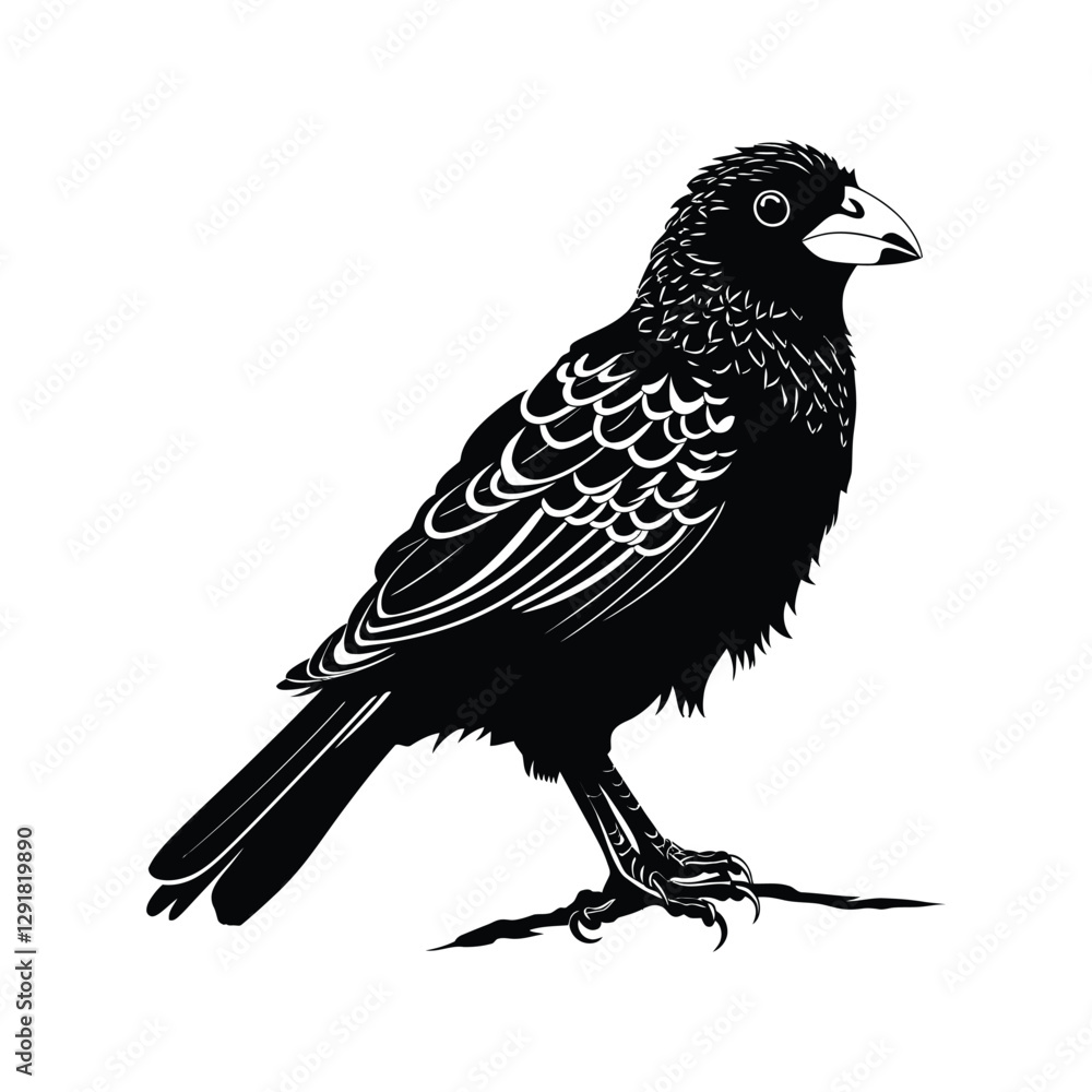Fototapeta premium Barbet vector silhouette illustration black color
