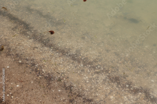 Obraz na płótnie dettaglio da sopra del bagnasciuga lungo la costa su una spiaggia sul mare Adriatico, con l'acqua trasparente e col fondale in vista w salonie
