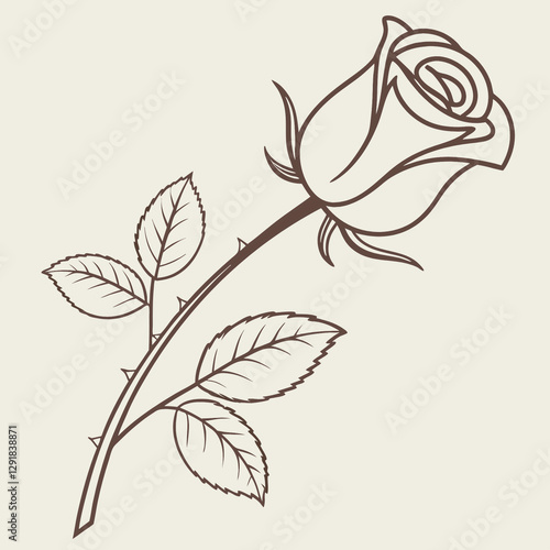 vector illustration of a rose