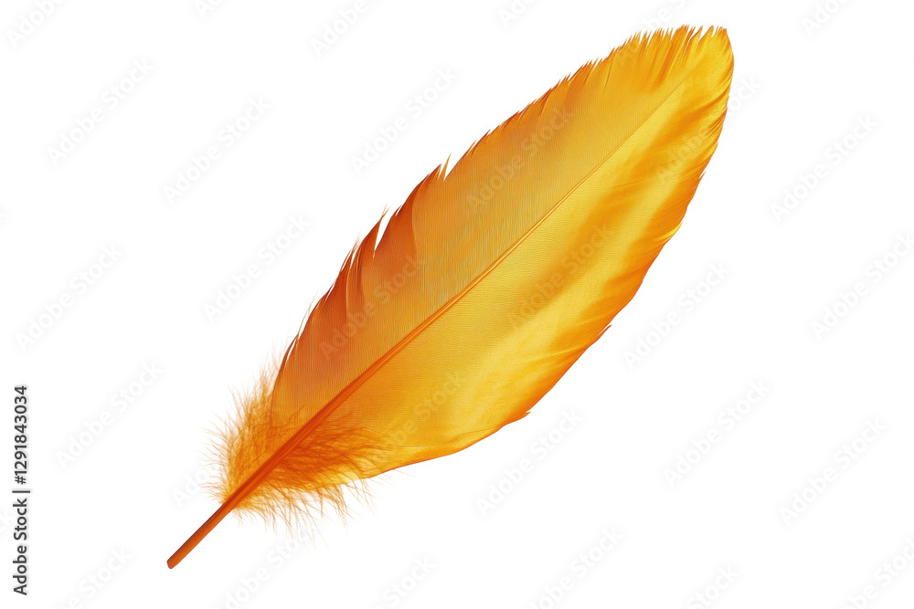 Bright yellow feather showcasing nature's beauty, cut out Bright yellow feather showcasing nature's beauty, cut out
