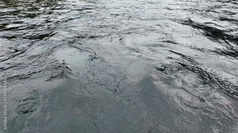 The Tranquil and Serene Flow of a River with Gentle Ripples in the Heart of Nature. Media The Tranquil and Serene Flow of a River with Gentle Ripples in the Heart of Nature. Media