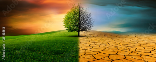 Baum in einer imaginären landschaft im Klimawandel von Dürre zu Grünem Wachstum