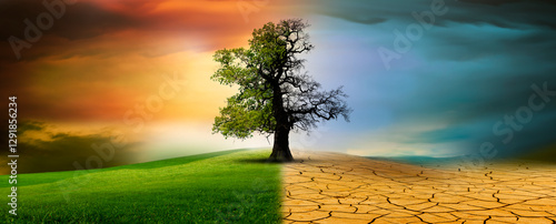 Baum in einer imaginären landschaft im Klimawandel von Dürre zu Grünem Wachstum