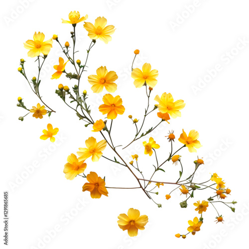 Vibrant Yellow Flowers Dark Background Botanical Beauty