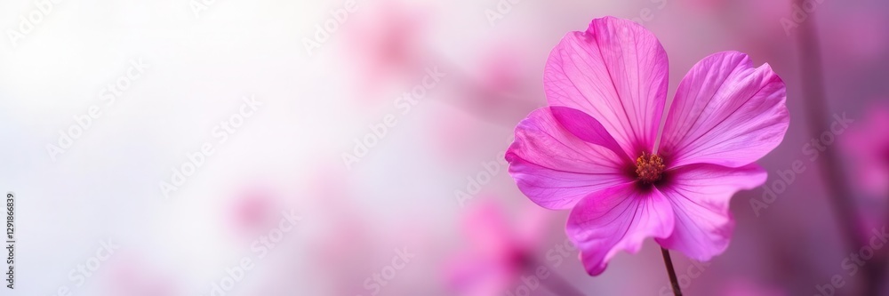 Obraz premium Vibrant pink purple flower heart, soft white backdrop, macro, floral heart