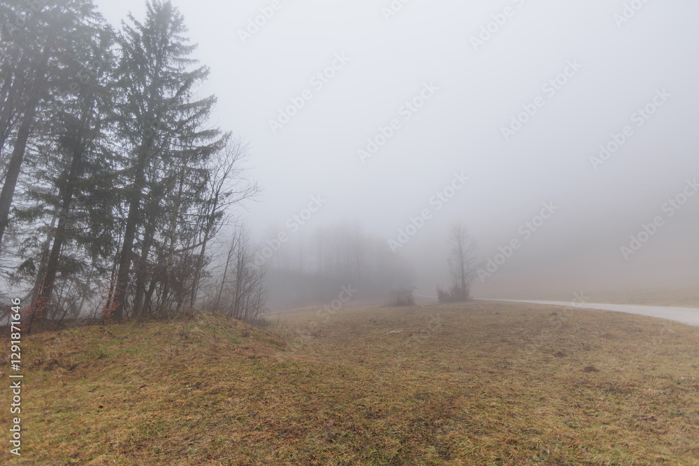 panoramica su varie foreste con alberi spogli, in un ambiente naturale tra le alte colline della Slovenia, avvolte da una fitta nebbia, di giorno, in inverno