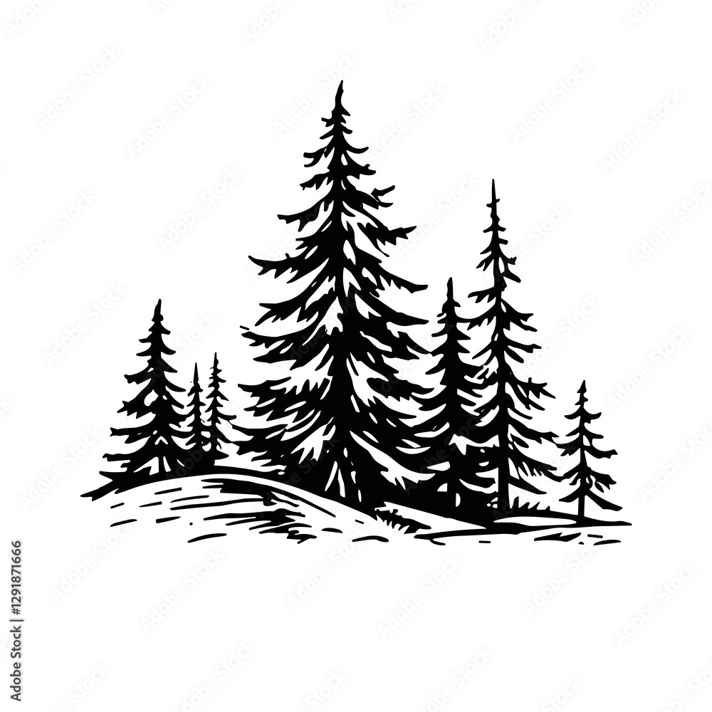 Obraz premium Serene Evergreen Forest: A Monochrome Ink Drawing