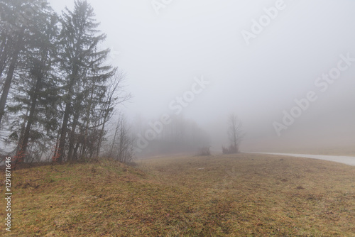 Obraz na płótnie panoramica su varie foreste con alberi spogli, in un ambiente naturale tra le alte colline della Slovenia, avvolte da una fitta nebbia, di giorno, in inverno w salonie