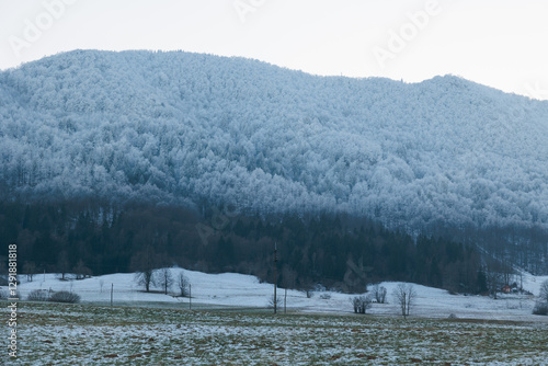 Obraz na płótnie dettaglio di un'alta catena collinare in Slovenia, coperta da una vasta foresta congelata ed innevata, in inverno w salonie