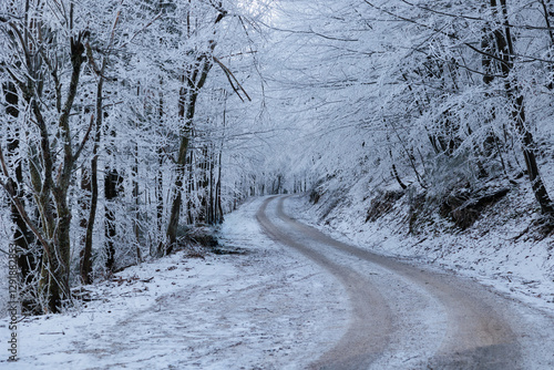 Obraz na płótnie alberi ghiacciati ed innevati, completamente bianchi, in un bosco naturale nelle alte colline della Slovenia, di giorno, in inverno w salonie