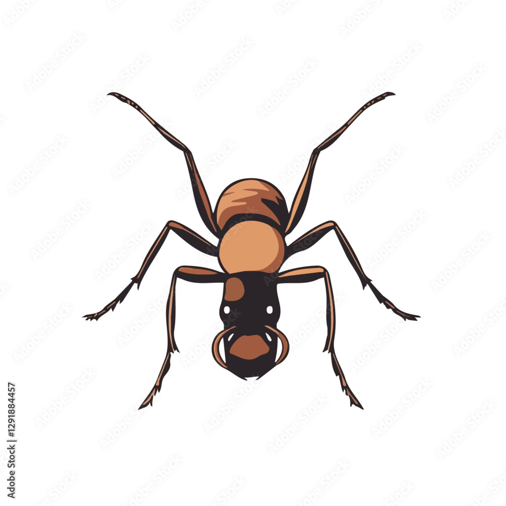 Ant minimalist 2D vector graphic illustration sketch on a white background.
Ant minimalist 2D vector graphic illustration sketch on a white background.