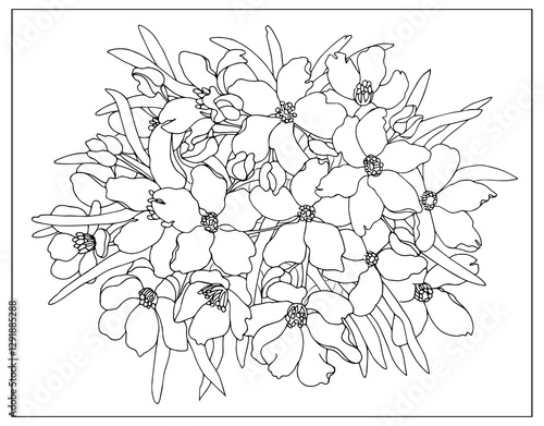 Hand drawn outlined floral arrangement. Small oleander flowers and leaves tightly packed together. Floral illustration for coloring page, decoration, tattoo, embroider