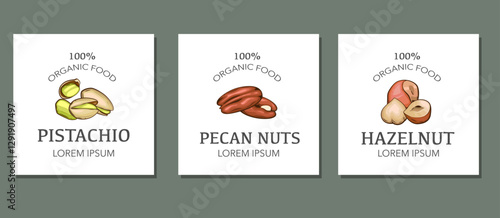 Nuts logo set templates. Pistachio, Pecan nuts,  Hazelnut isolated on white background. Nuts Cartoon Style. Organic food concept.