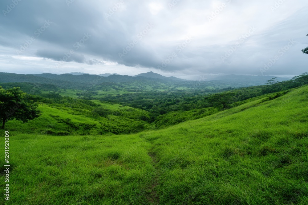 Naklejka premium Green Landscape with Cloudy Sky