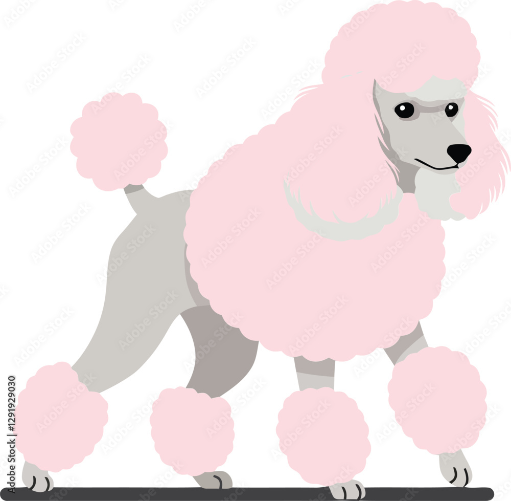 Playful pink poodle standing confidently with fluffy coat in a minimal style showcasing vector illustration Playful pink poodle standing confidently with fluffy coat in a minimal style showcasing vector illustration