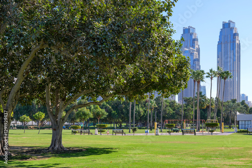 Photography city park in Dubai with lawns and playgrounds