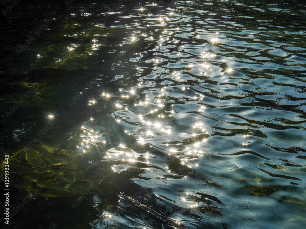 Dancing stars on the surface of the water off the island of Bastimento in the Bocas del Toro region. Dancing stars on the surface of the water off the island of Bastimento in the Bocas del Toro region.