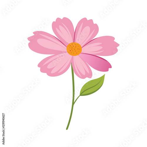Pink Cosmos Vector Illustration - Cartoon, Clipart & Line Art Design.eps