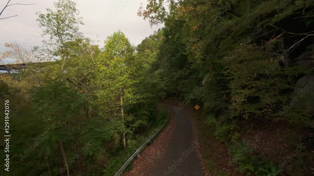 Aerial View of Winding Forest Road Surrounded by Lush Trees Drone captures scenic winding road through dense forest, with lush green foliage distant bridge, creating peaceful adventurous atmosphere Aerial View of Winding Forest Road Surrounded by Lush Trees Drone captures scenic winding road through dense forest, with lush green foliage distant bridge, creating peaceful adventurous atmosphere