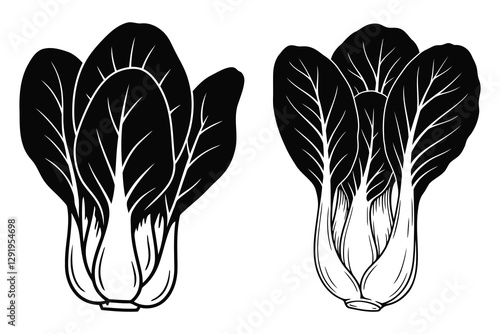 Bok choy vegetable silhouette vector.