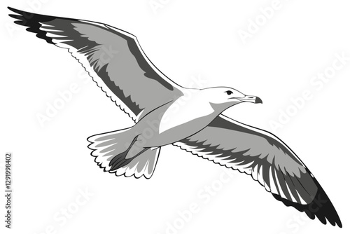 Flying Seagull Vector Illustration: Soaring in the Sky
