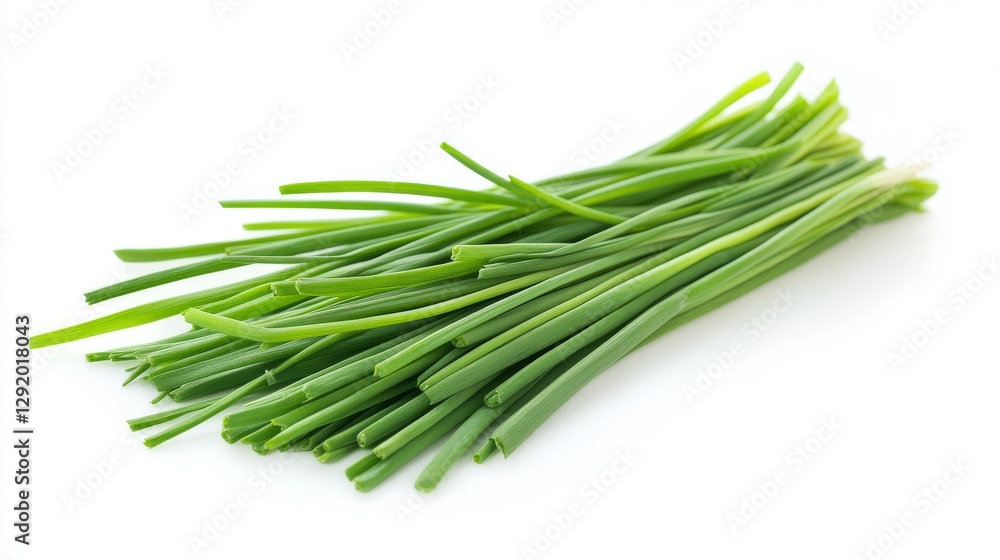 Fresh Chinese Chive leaves, isolated on a white background. Perfect for food-related content, website, or social media. Fresh Chinese Chive leaves, isolated on a white background. Perfect for food-related content, website, or social media.