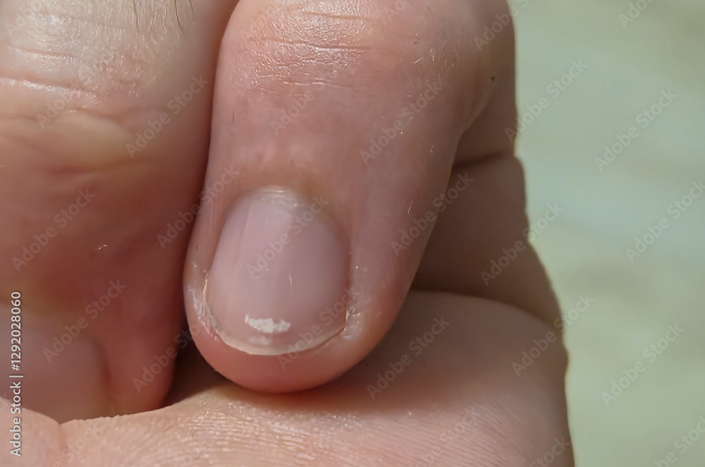 Fototapeta premium Close-up of a person's hand with a healthy fingernail against a neutral background. The focus is on natural beauty and personal care.