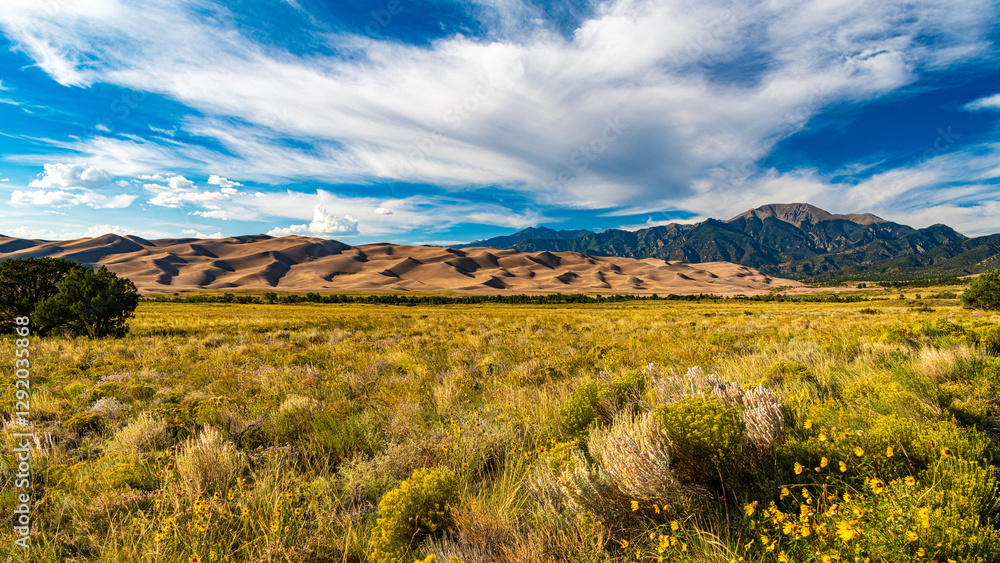Naklejka premium Wüstenlandschaft im Great Sand Dunes Nationalpark