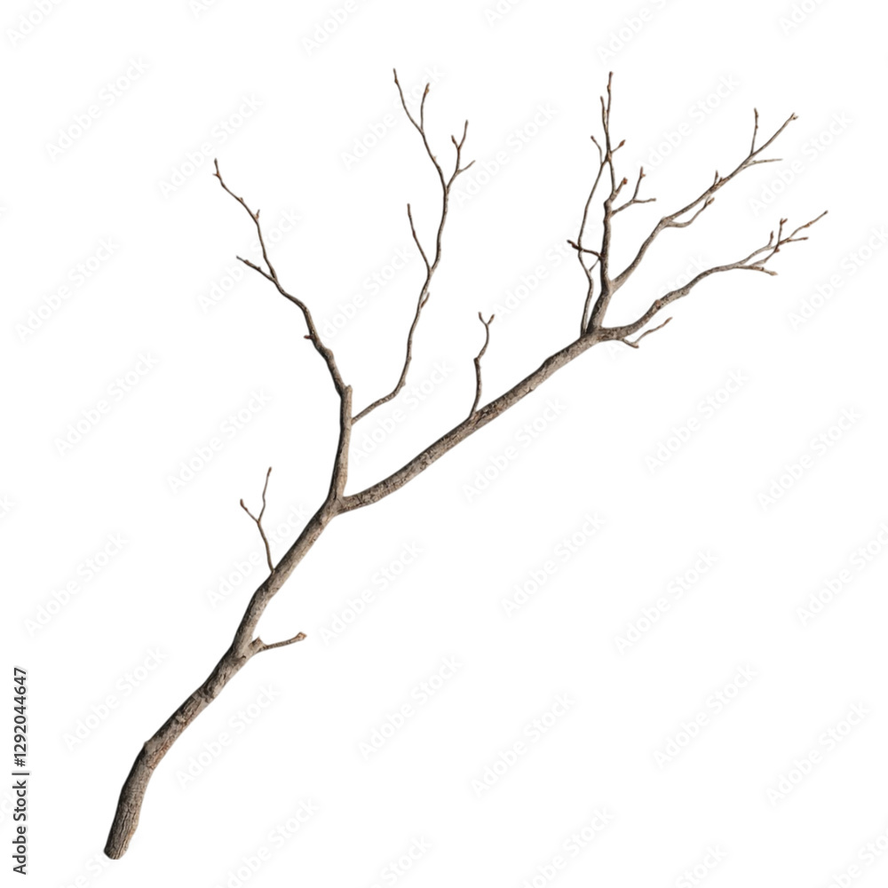 Branching out amidst vibrant stripes a striking abstract nature scene Branching out amidst vibrant stripes a striking abstract nature scene