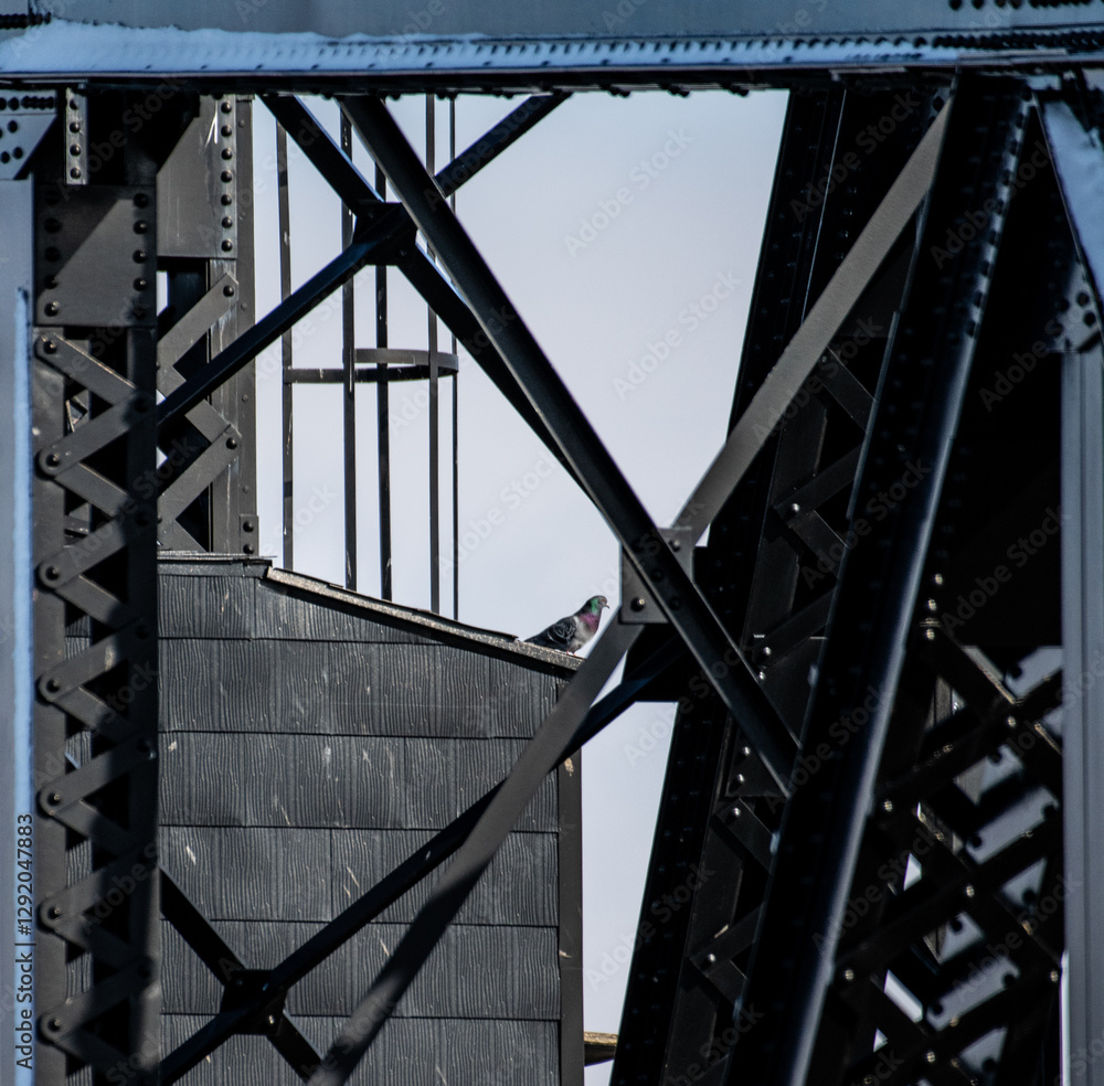 Naklejka premium Little Current Swing Bridge Close Up