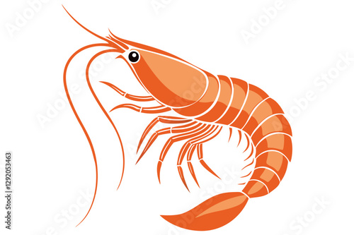 shrimp vector illustration